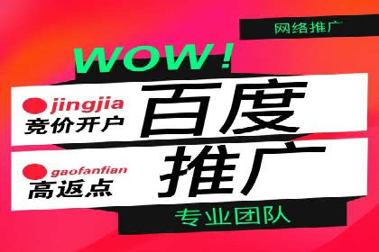 案例分享：竞价托管助力电商广告投放